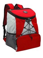 Large Padded Backpack Cooler - Fully Insulated, Leak and Water ...